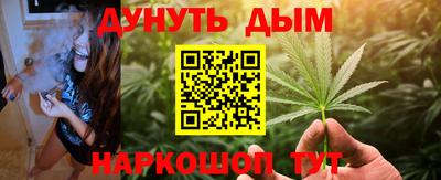 индика Кинель