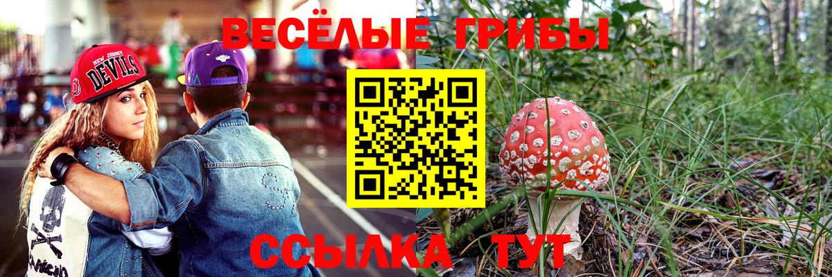 Котовск  Галлюциногенные грибы MAGIC MUSHROOMS  закладки  Псилоцибиновые грибы ЛСД  Вход с VPN 