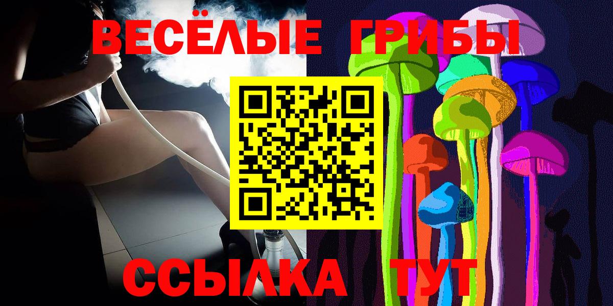Галлюциногенные грибы GOLDEN TEACHER Котовск